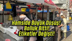 Hamside Büyük Düşüş! Bolluk Bitti! Etiketler Değişti!
