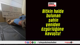 Bitkin halde bulunan şahin yeniden özgürlüğüne kavuştu!