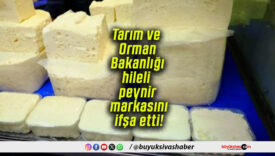 Tarım ve Orman Bakanlığı hileli peynir markasını ifşa etti!