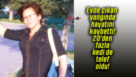 Evde çıkan yangında hayatını kaybetti! 20’den fazla kedi de telef oldu!