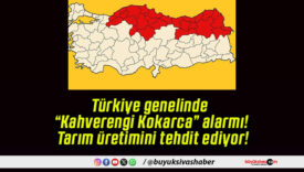 Türkiye genelinde “Kahverengi Kokarca” alarmı! Tarım üretimini tehdit ediyor!