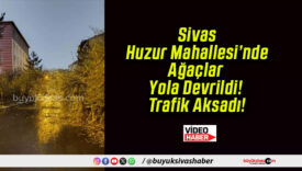 Sivas Huzur Mahallesi’nde Ağaçlar Yola Devrildi! Trafik Aksadı!