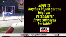 Sivas’ta başıboş köpek sorunu büyüyor! Vatandaşlar fırına sığınarak kurtuldu!
