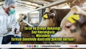 Tarım ve Orman Bakanlığı: Şap Hastalığıyla Mücadele Türkiye Genelinde Kontrollü Şekilde İlerliyor!