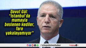 Davut Gül: “İstanbul’da mamayla beslenen kediler, fare yakalayamıyor”