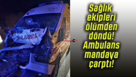 Sağlık ekipleri ölümden döndü! Ambulans mandaya çarptı!