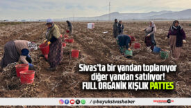 SBTÜ’nün İyi Tarım Ürünü Patateslerinde Satışlar Bu Hafta da Devam Ediyor