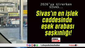 Sivas’ın en işlek caddesinde eşek arabası şaşkınlığı!