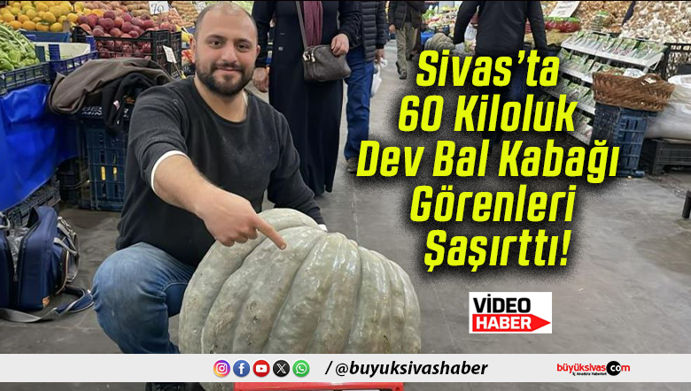 Sivas’ta 60 Kiloluk Dev Bal Kabağı Görenleri Şaşırttı!