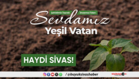 Sevdamız Yeşil Vatan: Sivas’ta 11 Kasım Milli Ağaçlandırma Günü