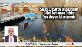 Sivas 1. OSB’de Oluşturulan Gölet Tamamen Doldu: Sıra Meyve Ağaçlarında