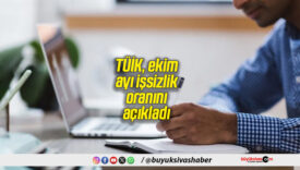 TÜİK, ekim ayı işsizlik oranını açıkladı
