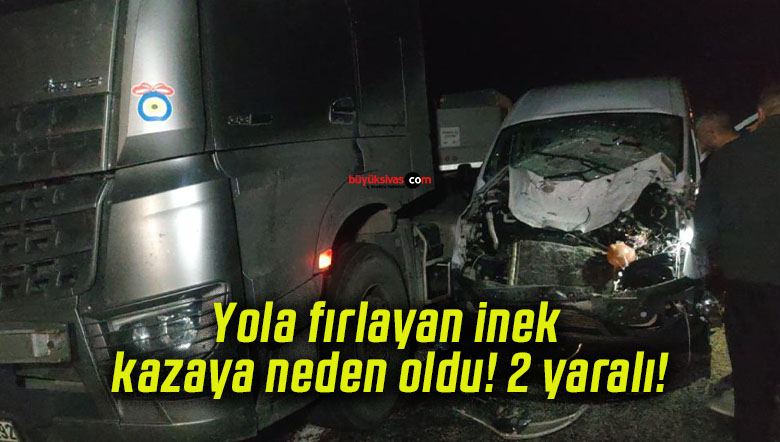 Yola fırlayan inek kazaya neden oldu! 2 yaralı!