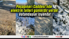 Paşapınarı Caddesi’nde elektrik telleri günlerdir yerde! Vatandaşlar isyanda!