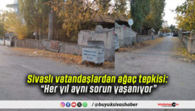 Sivaslı vatandaşlardan ağaç tepkisi: “Her yıl aynı sorun yaşanıyor”