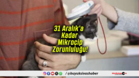 Evcil Hayvan Sahipleri İçin Son Uyarı! 31 Aralık’a Kadar Mikroçip Zorunluluğu!