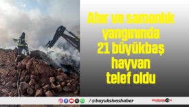 Ahır ve samanlık yangınında 21 büyükbaş hayvan telef oldu