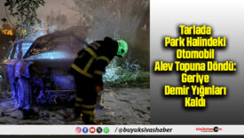 Tarlada Park Halindeki Otomobil Alev Topuna Döndü: Geriye Demir Yığınları Kaldı