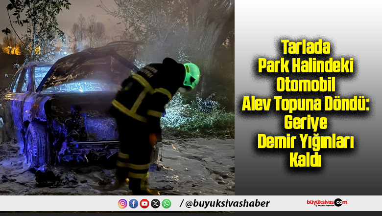 Tarlada Park Halindeki Otomobil Alev Topuna Döndü: Geriye Demir Yığınları Kaldı