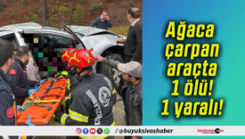 Ağaca çarpan araçta 1 ölü! 1 yaralı!
