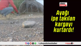 Ayağı ipe takılan kargayı kurtardı!