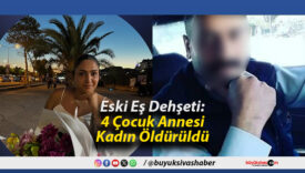 Eski Eş Dehşeti