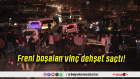 Freni boşalan vinç dehşet saçtı!