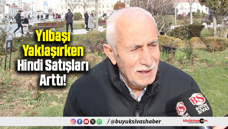 Hindi Satışları