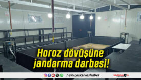 Horoz dövüşüne jandarma darbesi!