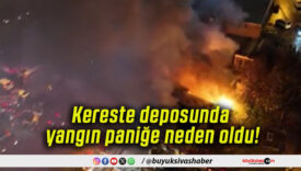 Kereste deposunda yangın paniğe neden oldu!
