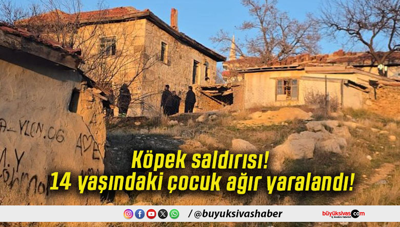 Köpek saldırısı! 14 yaşındaki çocuk ağır yaralandı!