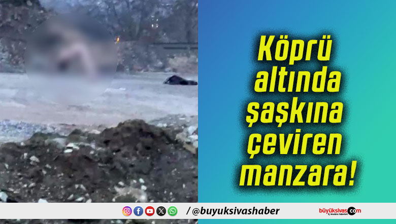Köprü altında şaşkına çeviren manzara!
