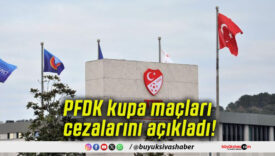 PFDK kupa maçları cezalarını açıkladı!