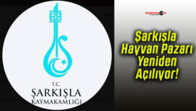 Şarkışla Hayvan Pazarı Yeniden Açılıyor!