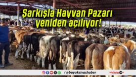 Şarkışla Pazarı yeniden açılıyor!
