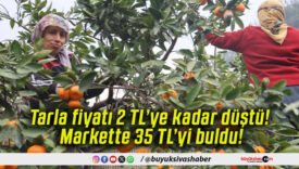 Tarla fiyatı 2 TL’ye kadar düştü! Markette 35 TL’yi buldu!
