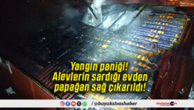 Yangın paniği! Alevlerin sardığı evden papağan sağ çıkarıldı!