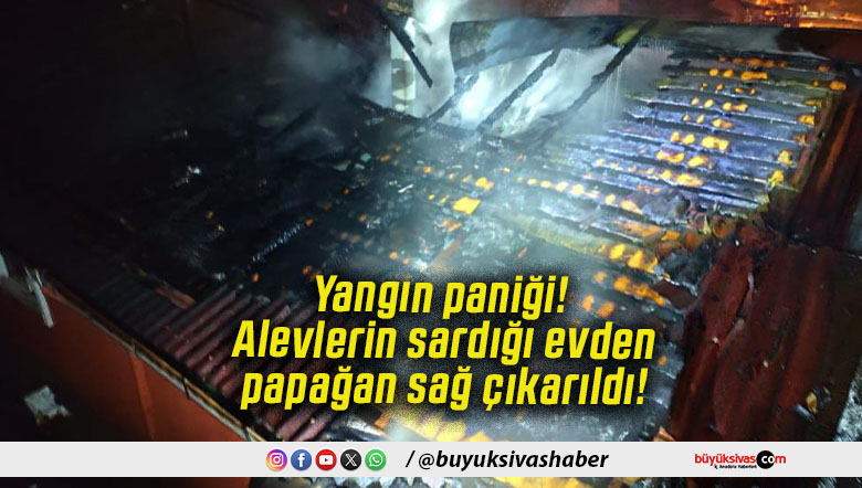 Yangın paniği! Alevlerin sardığı evden papağan sağ çıkarıldı!
