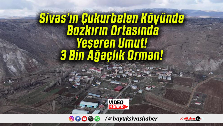 Sivas’ın Çukurbelen Köyünde Bozkırın Ortasında Yeşeren Umut! 3 Bin Ağaçlık Orman!