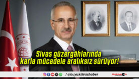 aralıksız