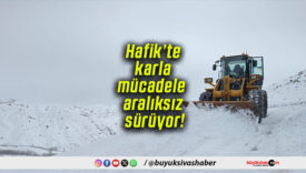 aralıksızs