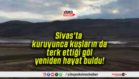Sivas’ta kuruyunca kuşların da terk ettiği göl yeniden hayat buldu!