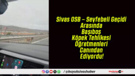 Sivas OSB – Seyfebeli Geçidi Arasında Başıboş Köpek Tehlikesi Öğretmenleri Canından Ediyordu!