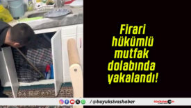 Firari hükümlü mutfak dolabında yakalandı!