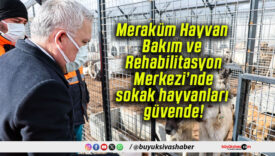 Meraküm Hayvan Bakım ve Rehabilitasyon Merkezi’nde sokak hayvanları güvende!