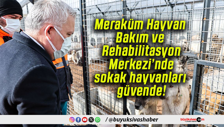 Meraküm Hayvan Bakım ve Rehabilitasyon Merkezi’nde sokak hayvanları güvende!
