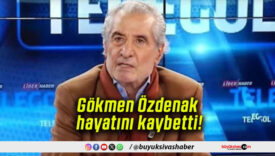 hayatınıs