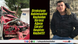 Direksiyon Hakimiyetini Kaybeden Sürücü Ağaca Çarptı! Hayatını Kaybetti!