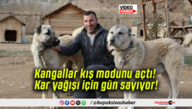 Kangallar kış modunu açtı! Kar yağışı için gün sayıyor!
