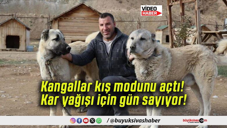 Kangallar kış modunu açtı! Kar yağışı için gün sayıyor!